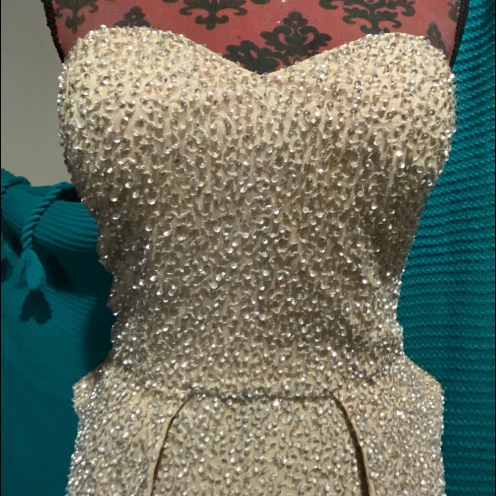Eileen Kirby - designer for Moulin Rouge  floor length formal gown - Picture 2 of 7